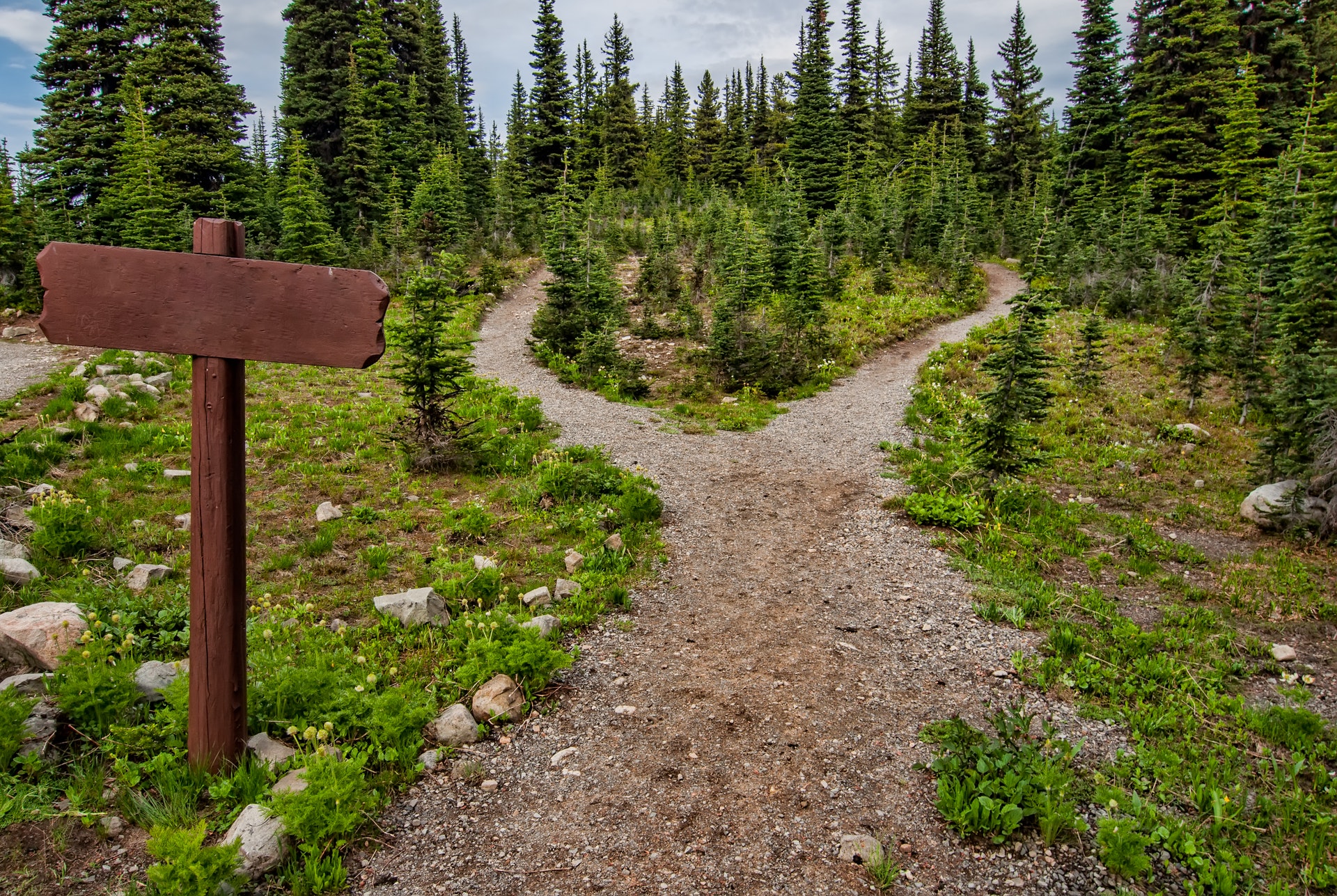 Exercise Spiritual Discernment