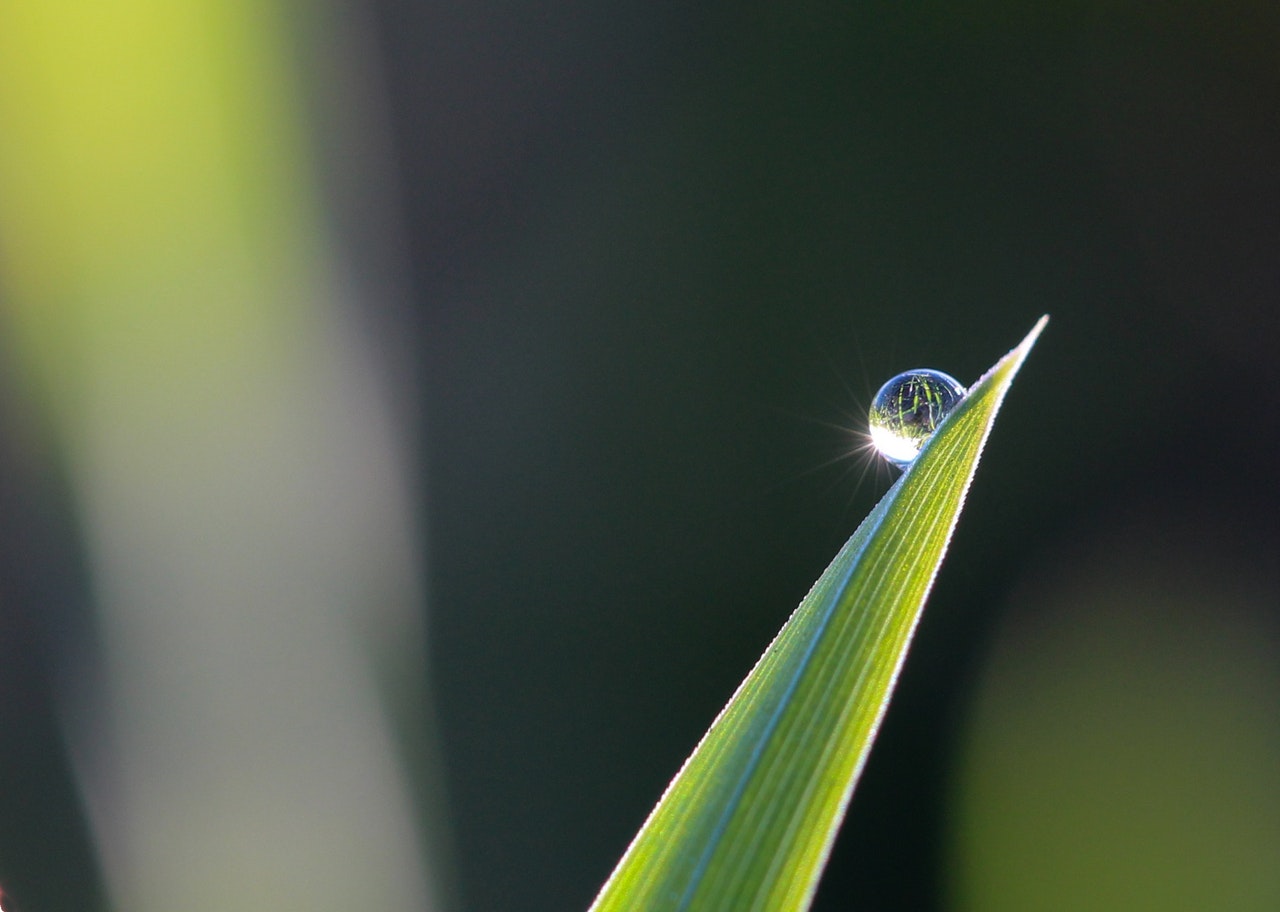 Positional and Practical Purity