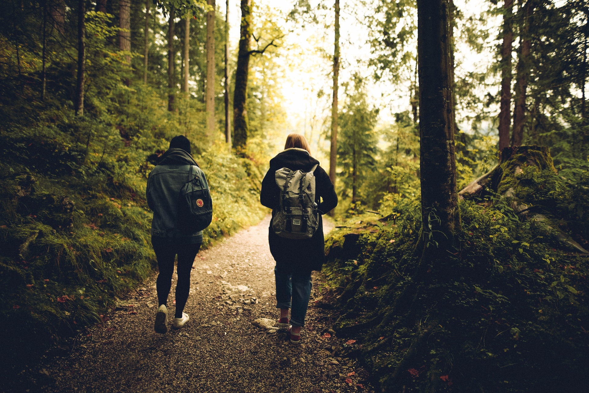 Walk with the Wise