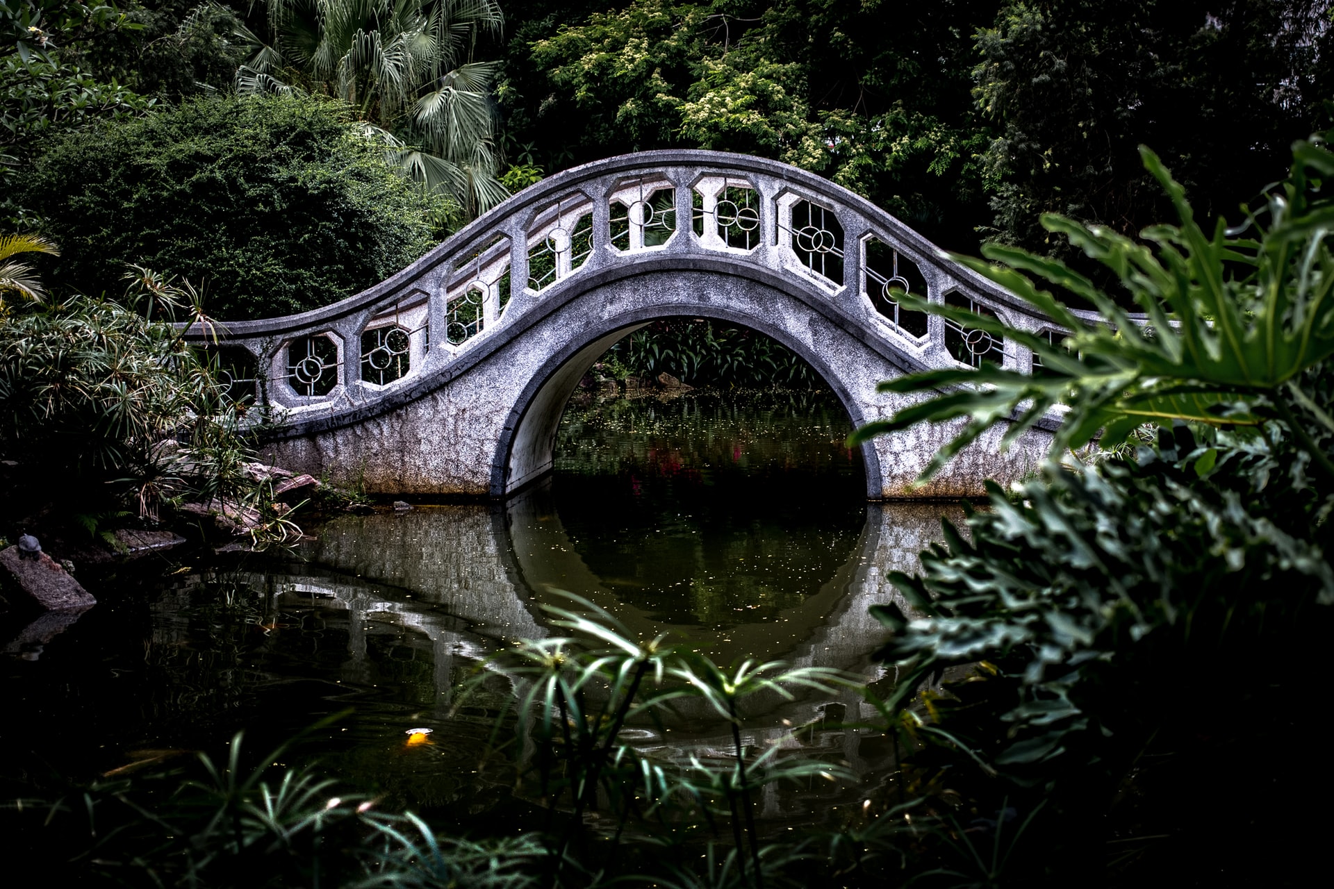 Build the Bridge